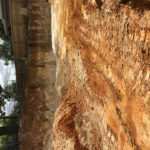 excavations and demolitions