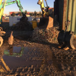 excavations and demolitions